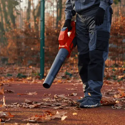 Gutter cleaning